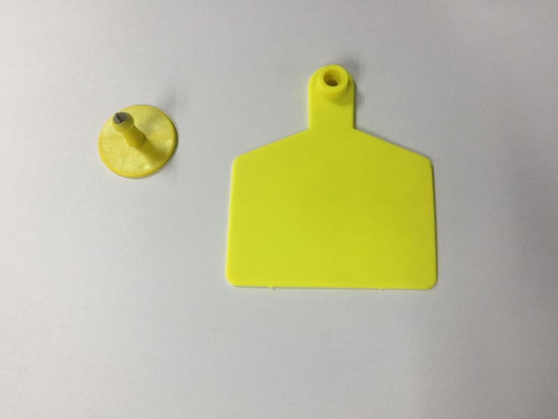 RFID Eartag with Flap
